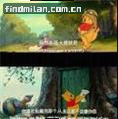 张磊